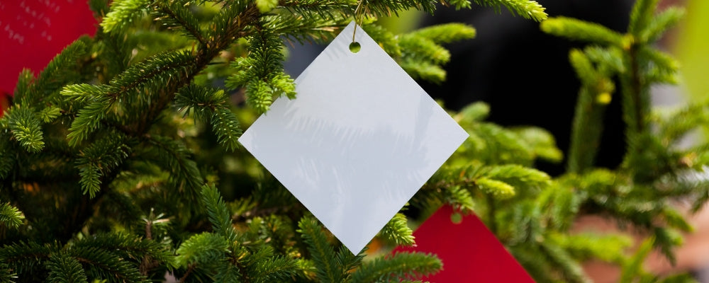 Unsere Spende: Dezember 2022