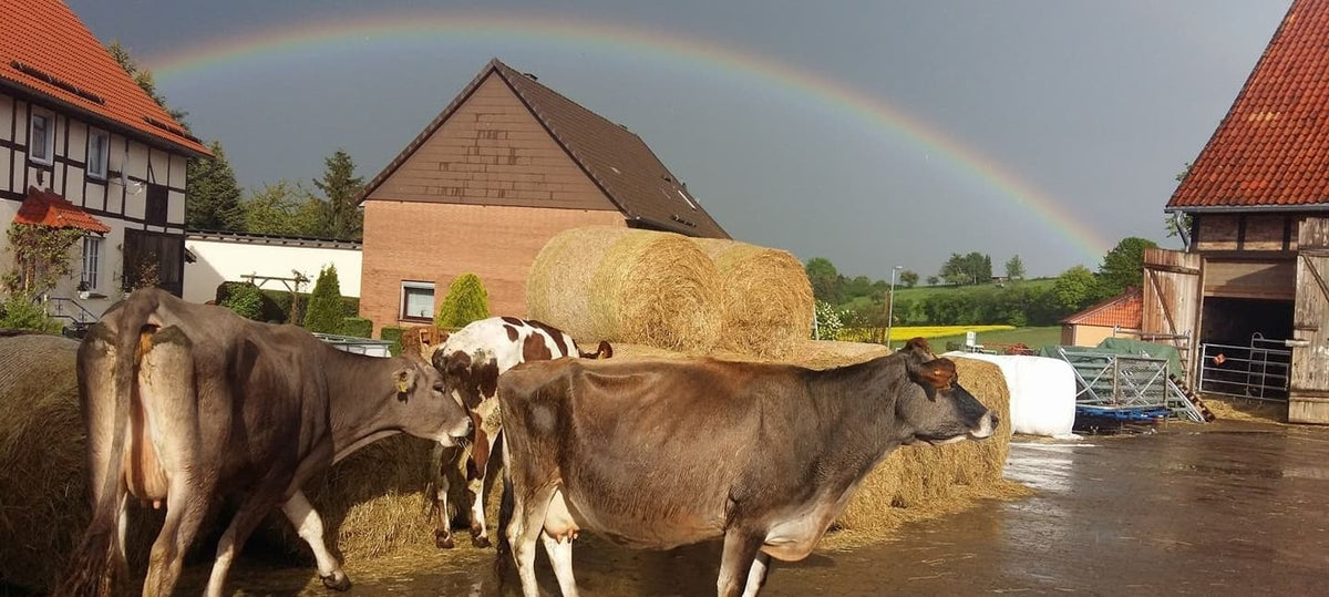 Unsere Spende: September 2021